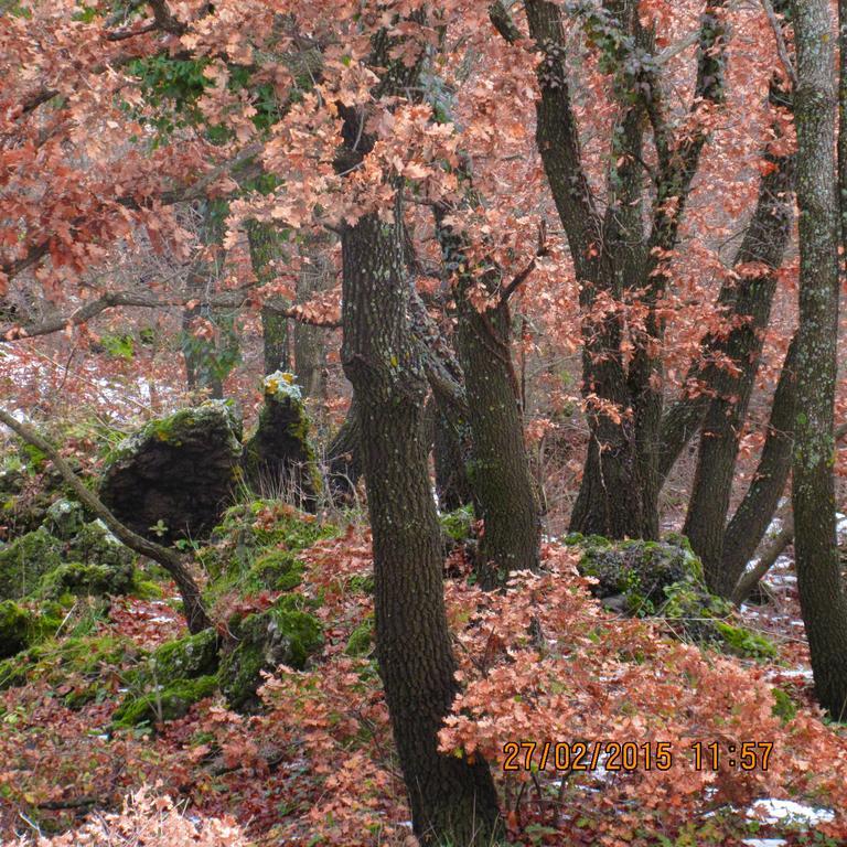 Farm stay Boscoscuro Ragalna