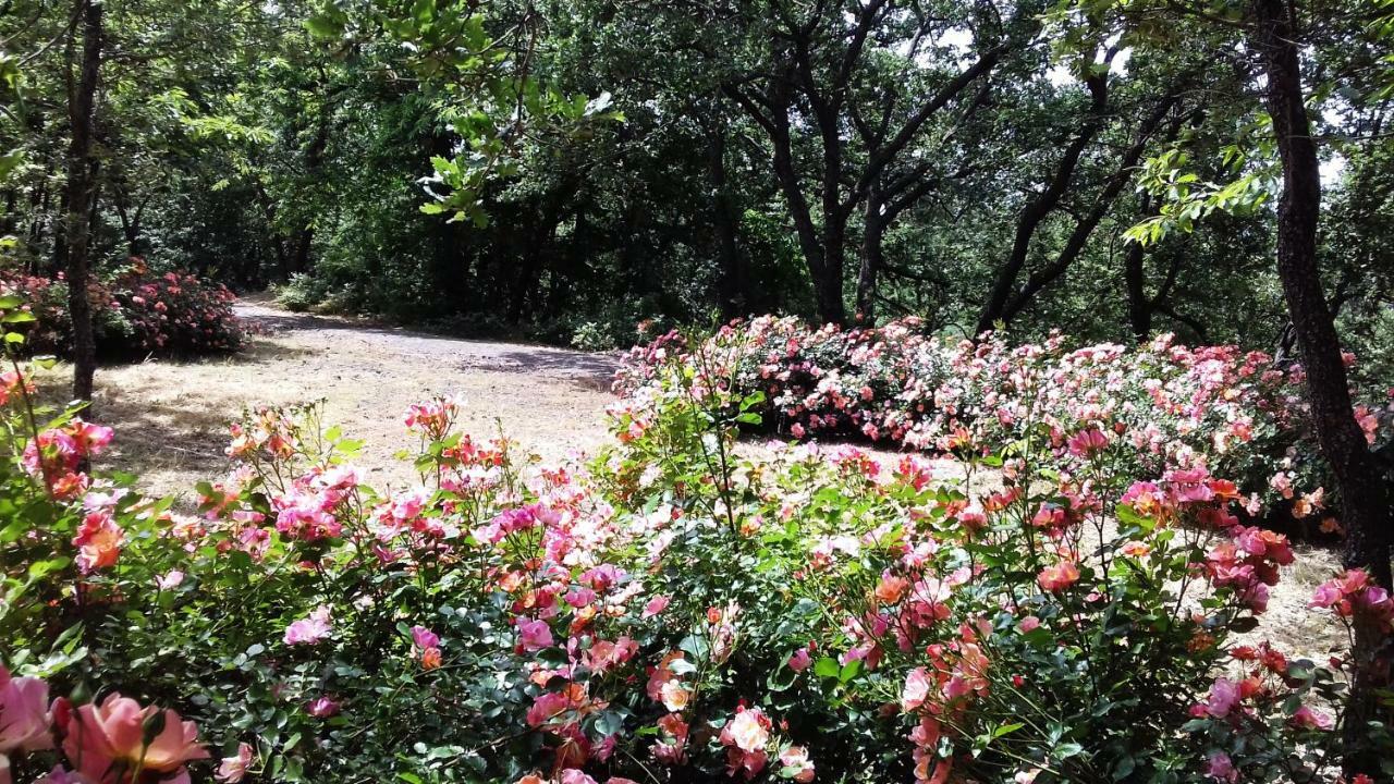 Boscoscuro Farm stay *
