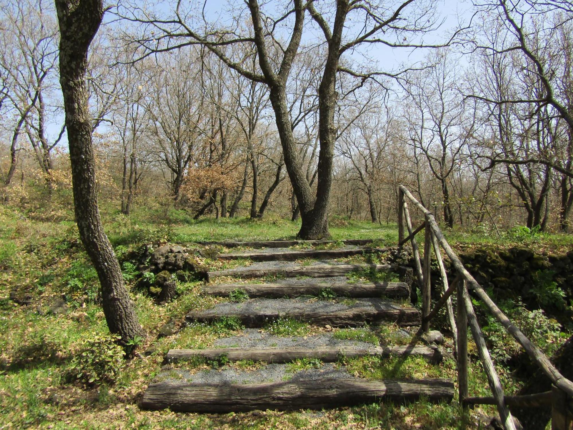 Boscoscuro Vakantieboerderij