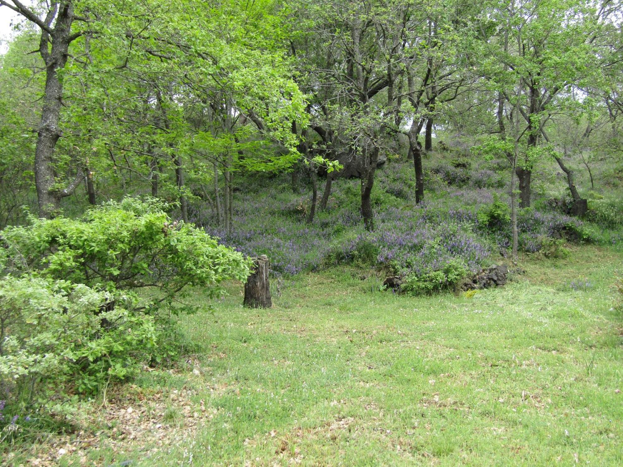 Boscoscuro Vakantieboerderij Ragalna