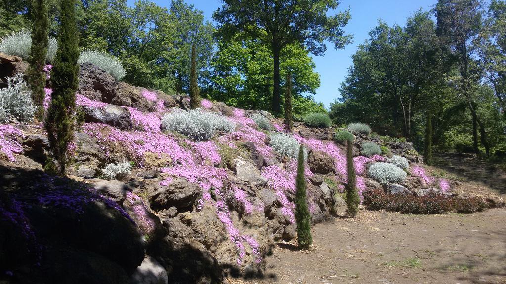 Boscoscuro Vakantieboerderij Ragalna