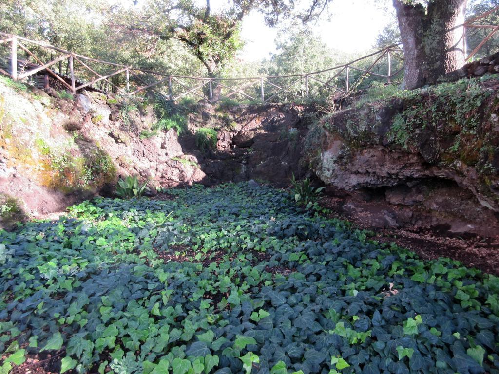 Agroturismo Boscoscuro