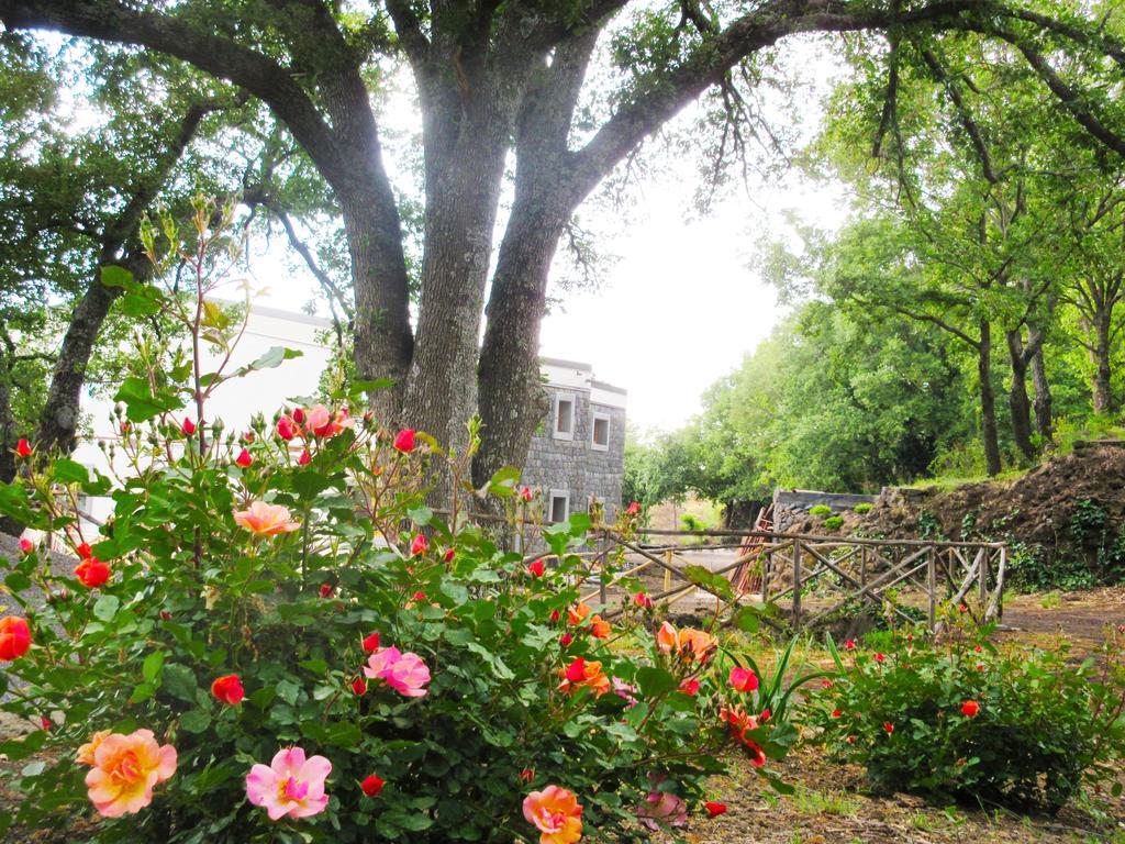 Vakantieboerderij Boscoscuro Ragalna